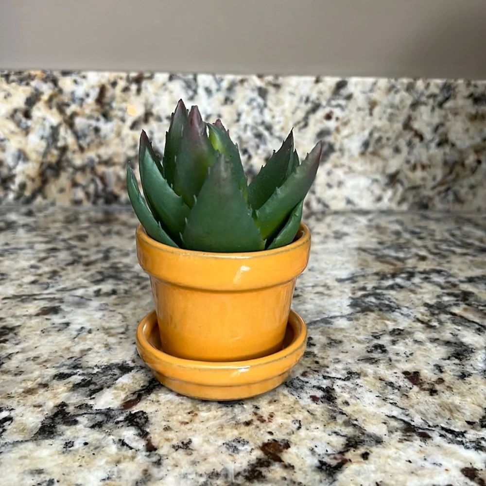 Mini Faux Cactus